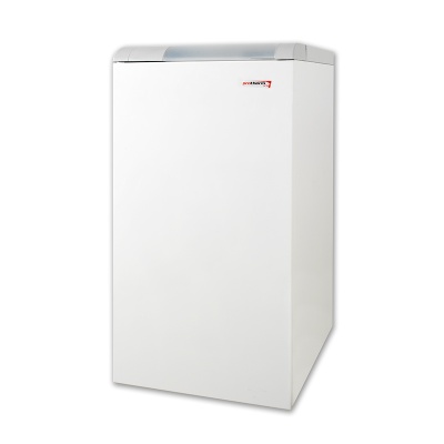 PROTHERM  Медведь 50 TLO КГН энергонезависимый